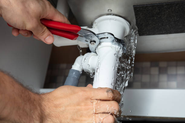 Best Water damage cleanup near me  in Black Jack, MO