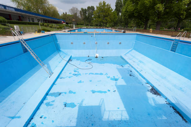 Best Water damage contractors near me  in Black Jack, MO