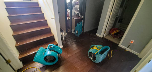 Best Emergency water damage restoration  in Black Jack, MO
