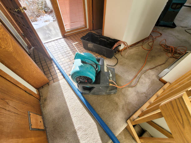 Best Ceiling water damage repair  in Black Jack, MO
