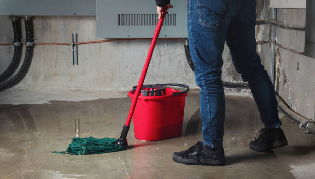 Water damage restoration insurance claims in Black Jack, MO