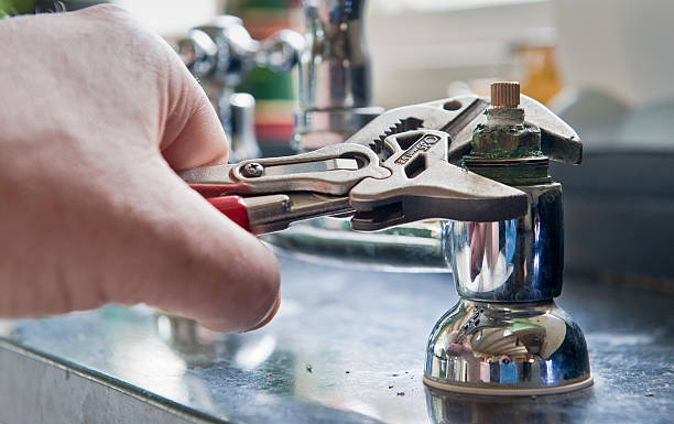 Best Professional water damage repair  in Black Jack, MO