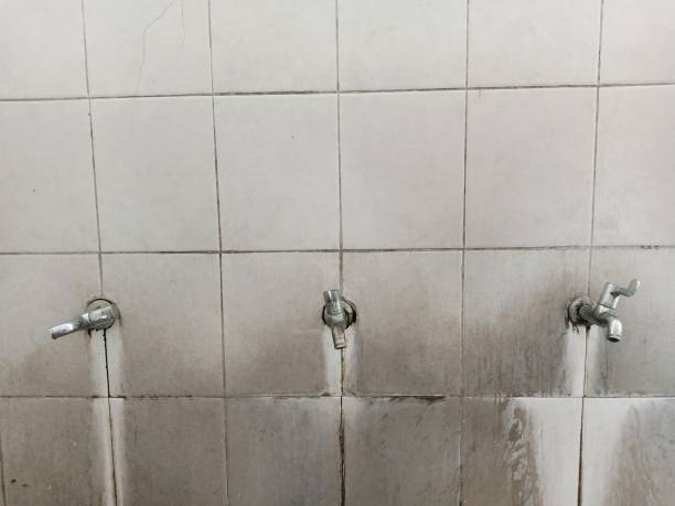 Reliable Black Jack, MO Water damage restoration Solutions