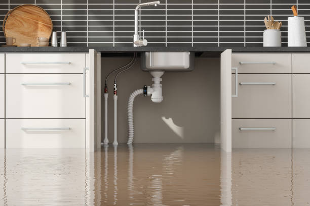 Best Sewage cleanup and water damage restoration  in Black Jack, MO