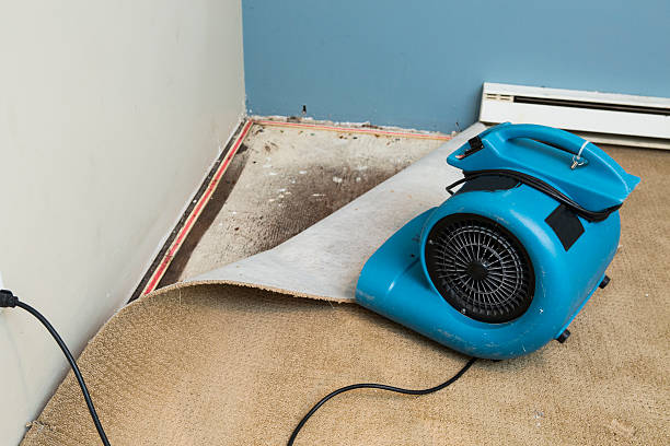 Local water damage restoration in Black Jack, MO